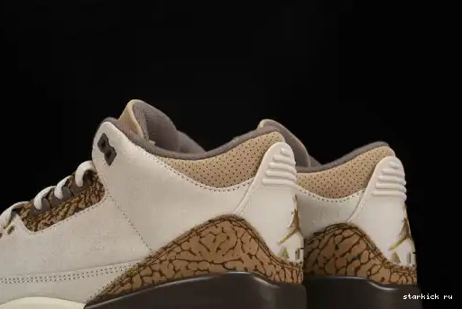 Palomino  CT8532-102  Retro Jordan 3 CT8532-102 0611